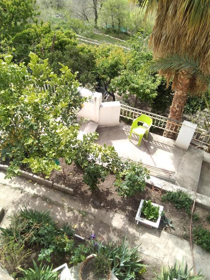 La Flecha Hostel Abrucena Kültér fotó